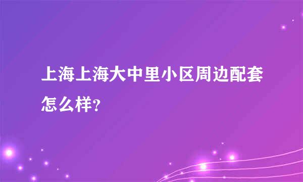 上海上海大中里小区周边配套怎么样？