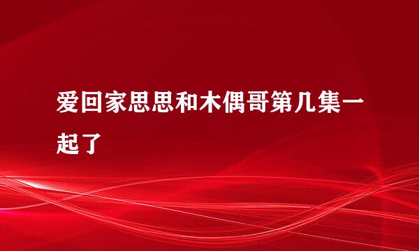 爱回家思思和木偶哥第几集一起了