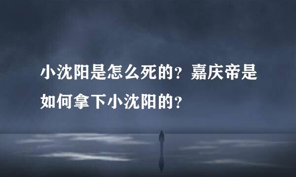 小沈阳是怎么死的？嘉庆帝是如何拿下小沈阳的？