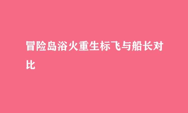 冒险岛浴火重生标飞与船长对比