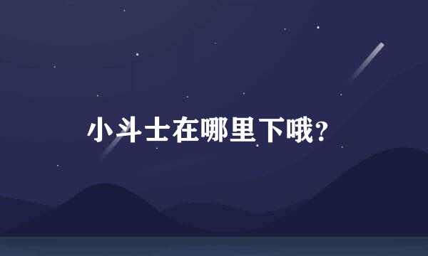 小斗士在哪里下哦？