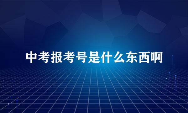 中考报考号是什么东西啊