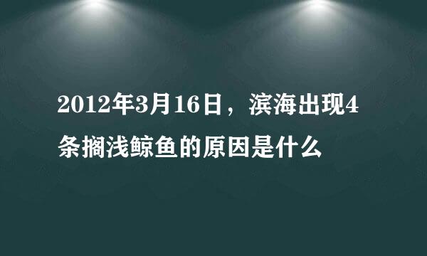 2012年3月16日，滨海出现4条搁浅鲸鱼的原因是什么