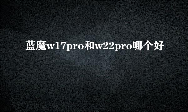 蓝魔w17pro和w22pro哪个好