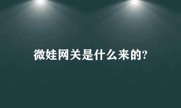 微娃网关是什么来的?