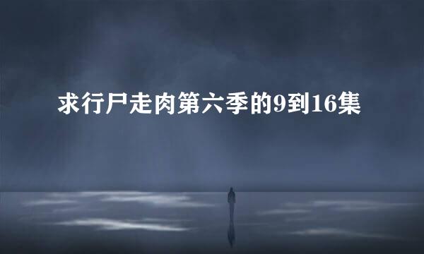 求行尸走肉第六季的9到16集