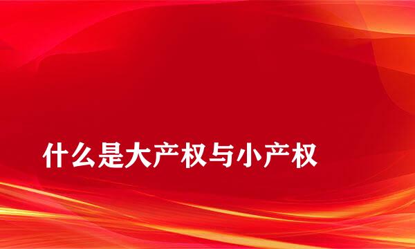 
什么是大产权与小产权
