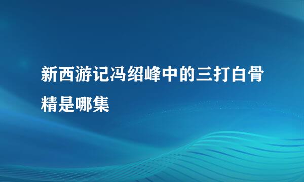 新西游记冯绍峰中的三打白骨精是哪集