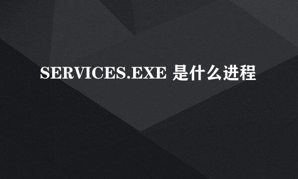 SERVICES.EXE 是什么进程