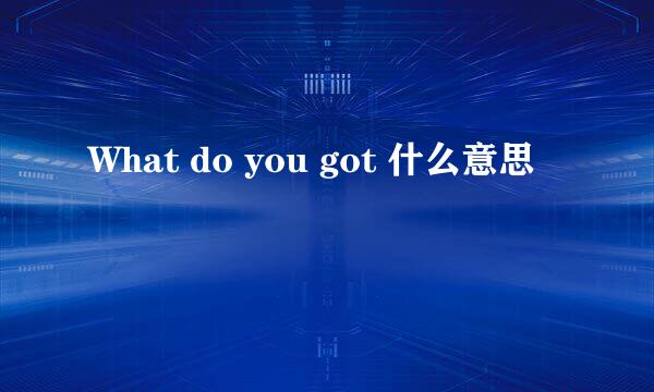 What do you got 什么意思