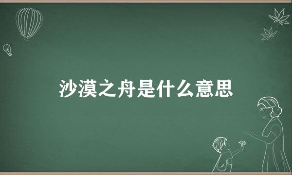 沙漠之舟是什么意思