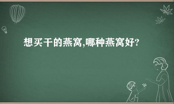 想买干的燕窝,哪种燕窝好?