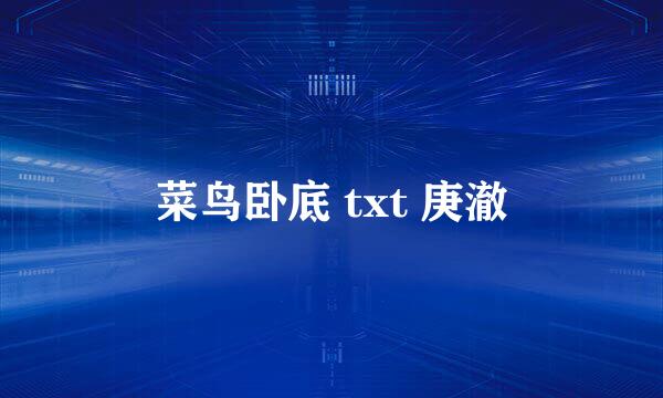 菜鸟卧底 txt 庚澈