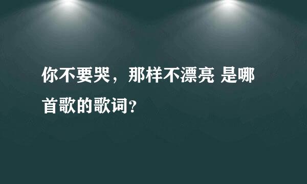 你不要哭，那样不漂亮 是哪首歌的歌词？