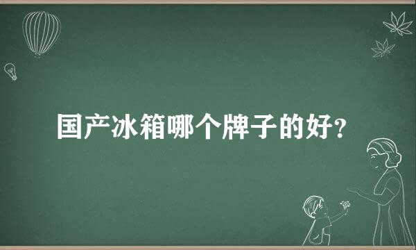 国产冰箱哪个牌子的好？