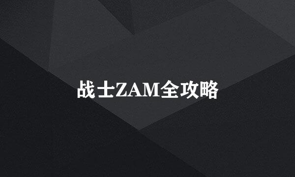 战士ZAM全攻略