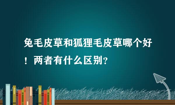 兔毛皮草和狐狸毛皮草哪个好！两者有什么区别？