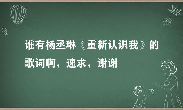 谁有杨丞琳《重新认识我》的歌词啊，速求，谢谢