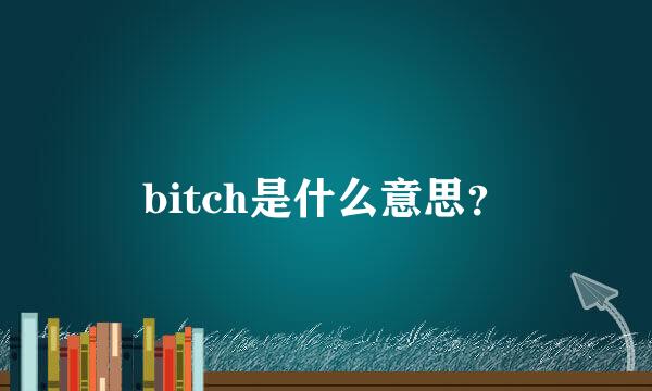 bitch是什么意思？