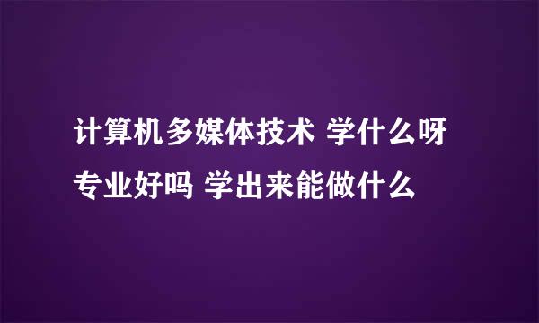 计算机多媒体技术 学什么呀 专业好吗 学出来能做什么