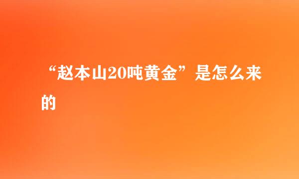 “赵本山20吨黄金”是怎么来的