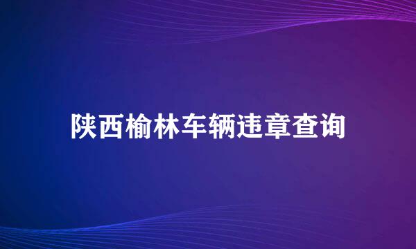 陕西榆林车辆违章查询