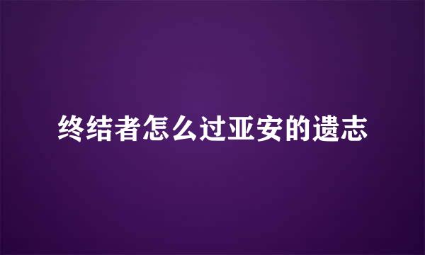 终结者怎么过亚安的遗志