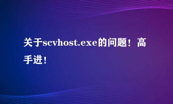 关于scvhost.exe的问题！高手进！