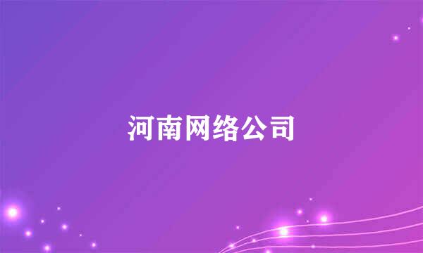 河南网络公司