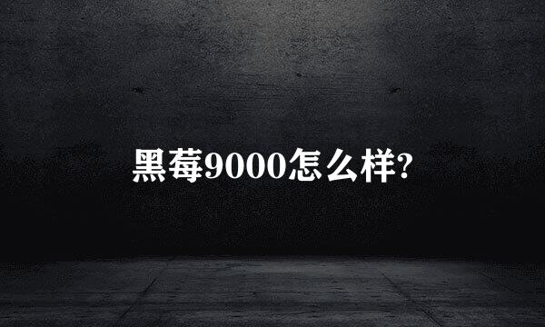 黑莓9000怎么样?