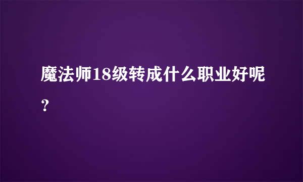 魔法师18级转成什么职业好呢？