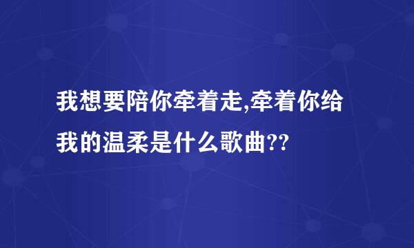 我想要陪你牵着走,牵着你给我的温柔是什么歌曲??