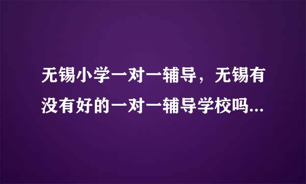 无锡小学一对一辅导，无锡有没有好的一对一辅导学校吗？老师一定要负责，市场口碑好的学校