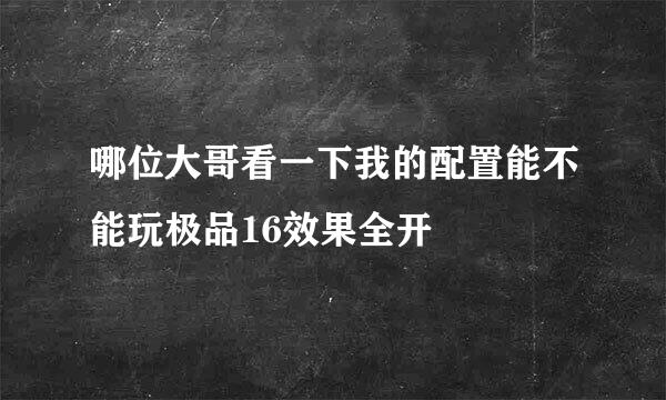 哪位大哥看一下我的配置能不能玩极品16效果全开