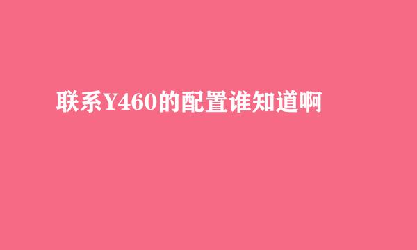 联系Y460的配置谁知道啊