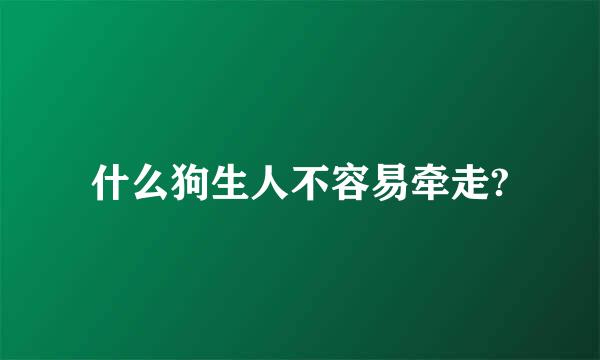 什么狗生人不容易牵走?