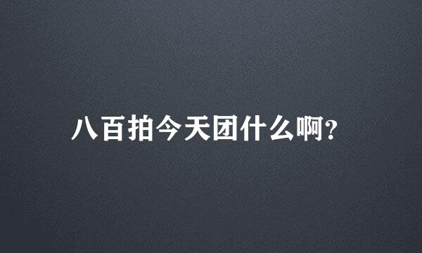 八百拍今天团什么啊？