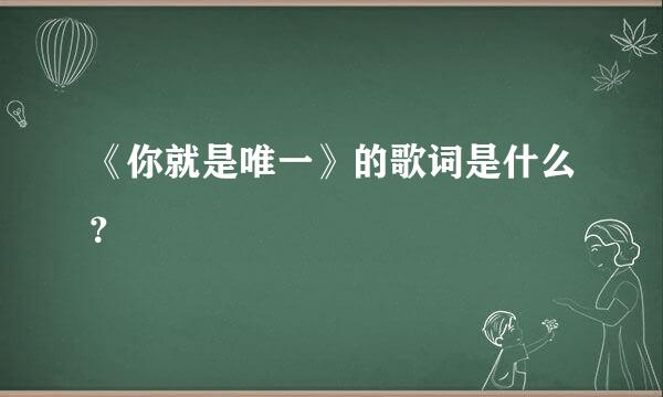 《你就是唯一》的歌词是什么？