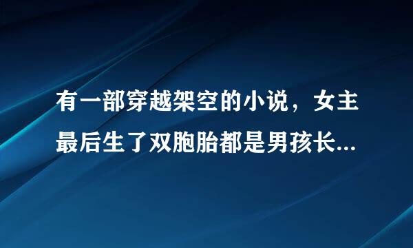 有一部穿越架空的小说，女主最后生了双胞胎都是男孩长得一模一样，但