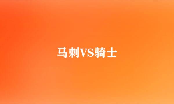 马刺VS骑士