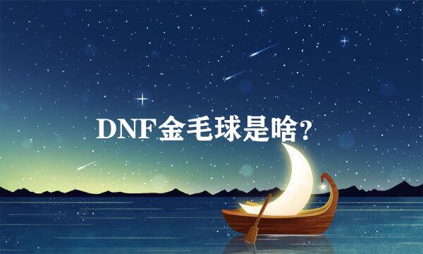 DNF金毛球是啥？