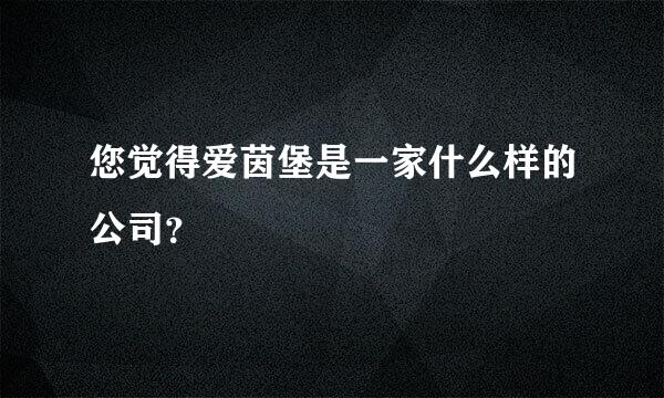 您觉得爱茵堡是一家什么样的公司？