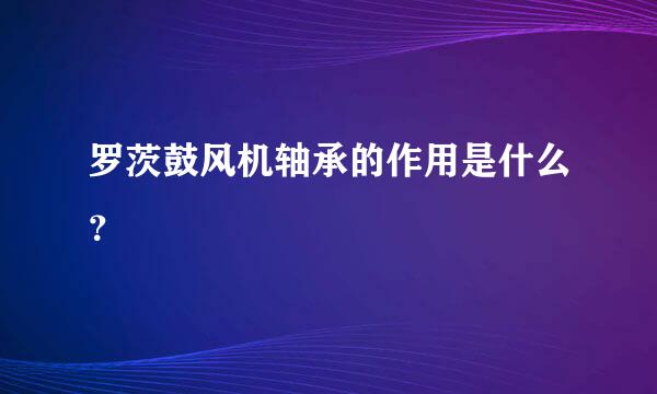 罗茨鼓风机轴承的作用是什么？