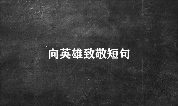 向英雄致敬短句