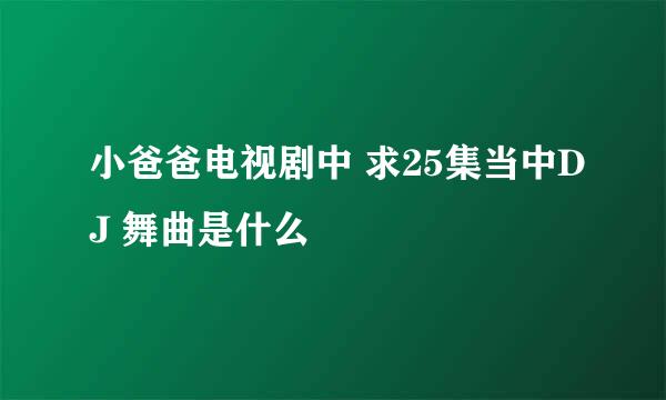 小爸爸电视剧中 求25集当中DJ 舞曲是什么