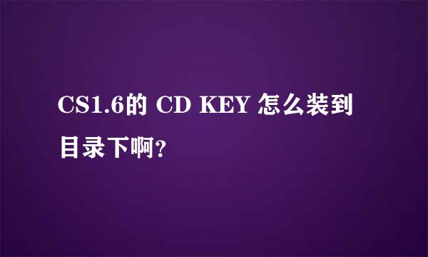 CS1.6的 CD KEY 怎么装到目录下啊？