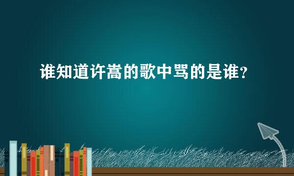 谁知道许嵩的歌中骂的是谁？