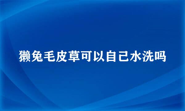 獭兔毛皮草可以自己水洗吗