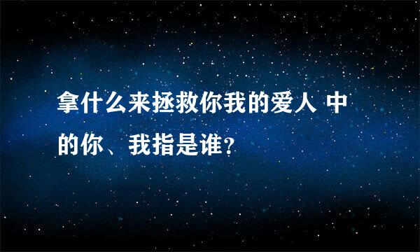 拿什么来拯救你我的爱人 中的你、我指是谁？