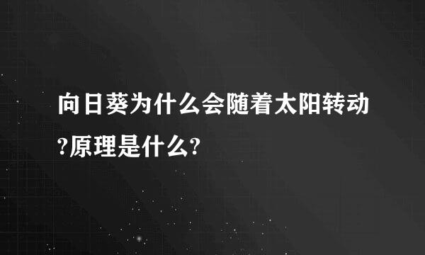 向日葵为什么会随着太阳转动?原理是什么?